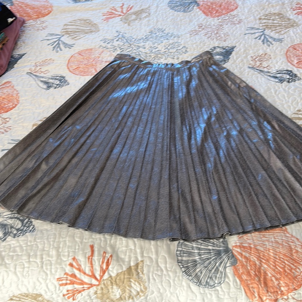 Silver , forever 21 , large pleated skirt. Holidays are coming:)